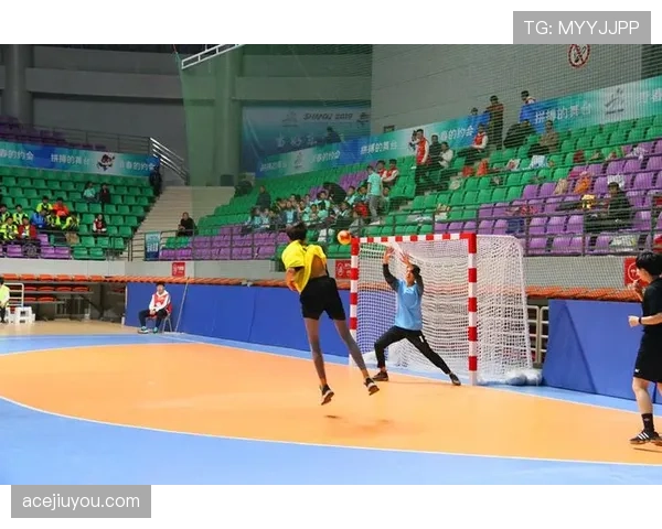 手球判罚规则详解：关键判定条件与裁判实战标准